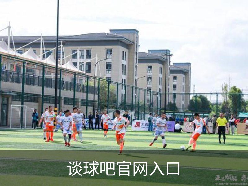 谈球吧官网入口概况